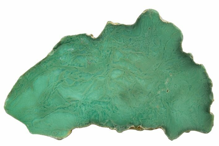 Polished Green Chrysoprase Slab - Western Australia #239715